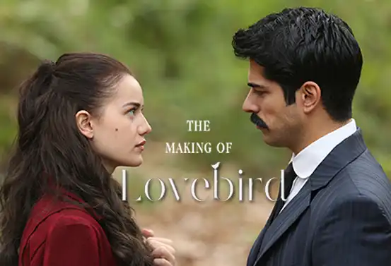 The Making Of Love Bird